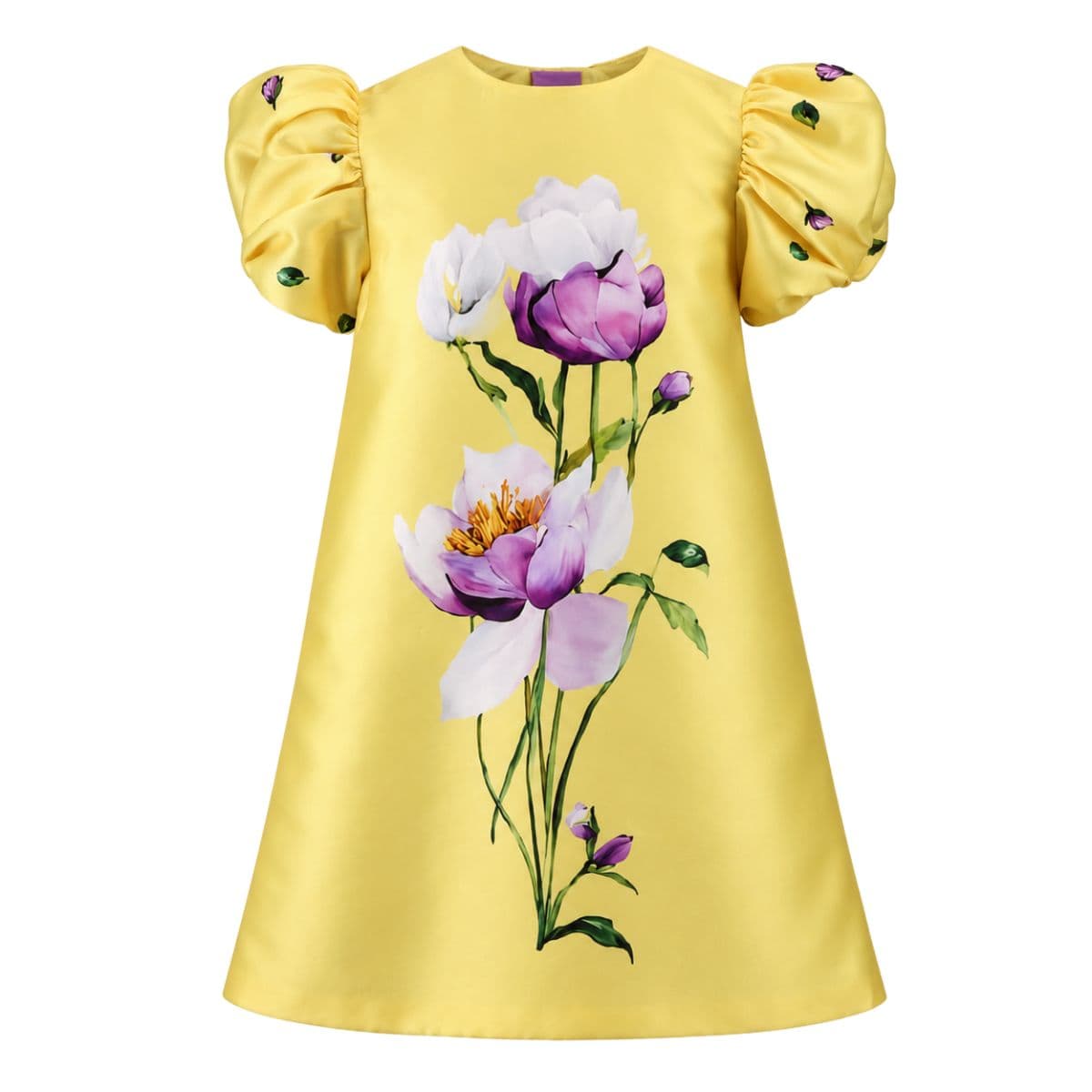 BIANA DRESS Image