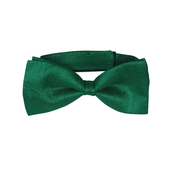 Cummerbund & Bowtie Image