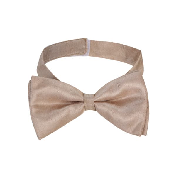 BROWN BOW TIE