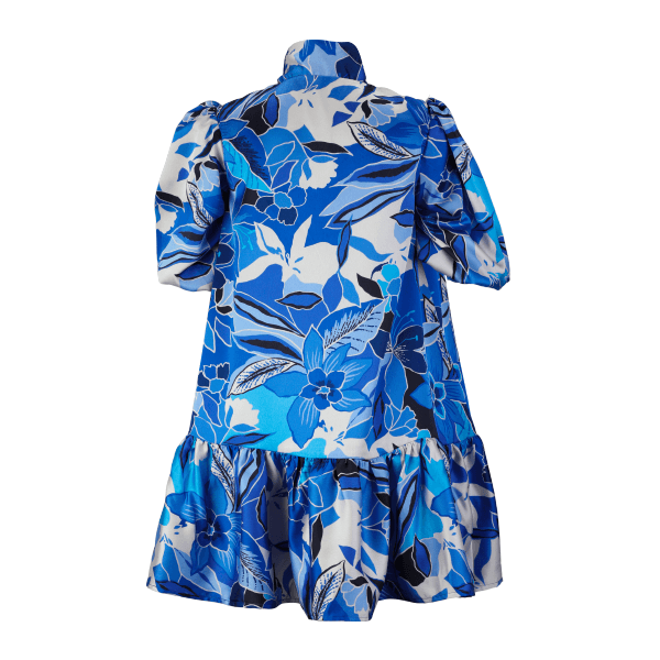 BLUE & WHITE L/S FLORAL CHIFFON SWING DRESS