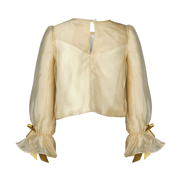GOLD ORGANZA SKIRT SET