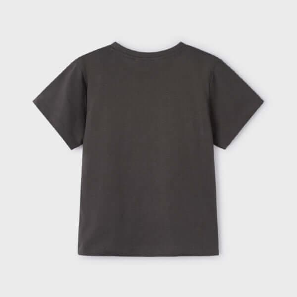 GREY PRINTED S/S TSHIRT