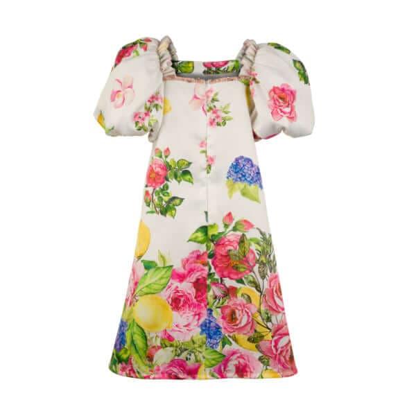 Ọṅụ DRESS