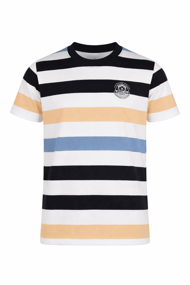 MULTICOLOR S/S POLO TSHIRT