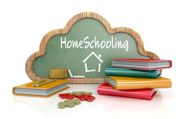 Home teaching this season: 4 ideas to make learning fun! - ruffntumblekids
